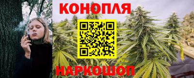 apvp Новоалександровск
