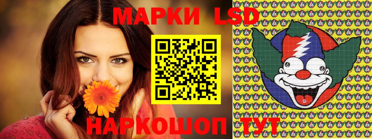 Боровичи  Вход с VPN  Марихуана  МЕФ кристаллы  ГАШ 