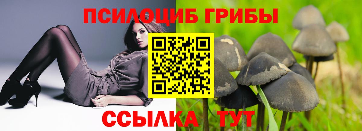 Боровичи  Псилоцибиновые грибы мухоморы  Галлюциногенные грибы мицелий  Вход с VPN 